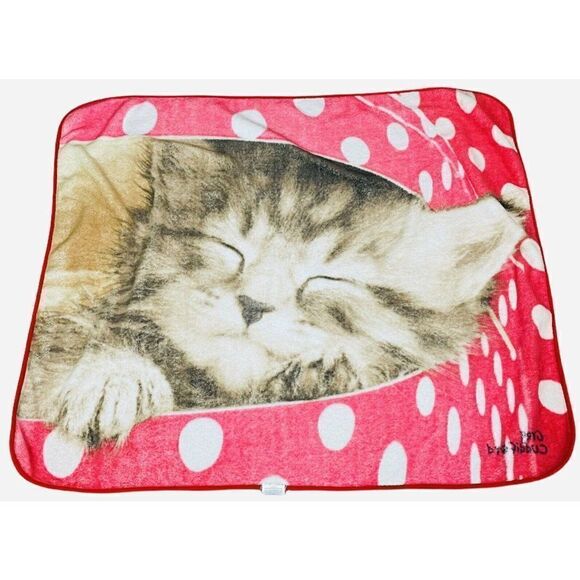 Greg Cuddiford Plush Blanket Kitten Polka Dot Box Northwest 50 x 60 Cat Kawaii - Picture 2 of 8